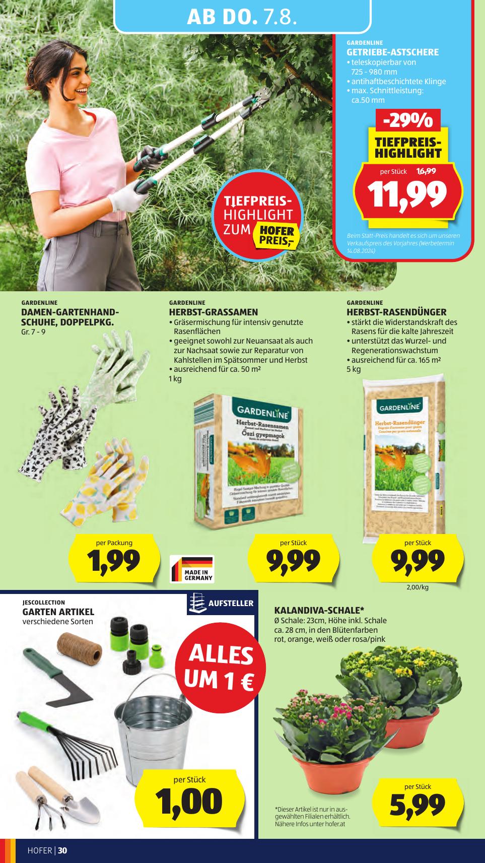 Hofer flyer page
