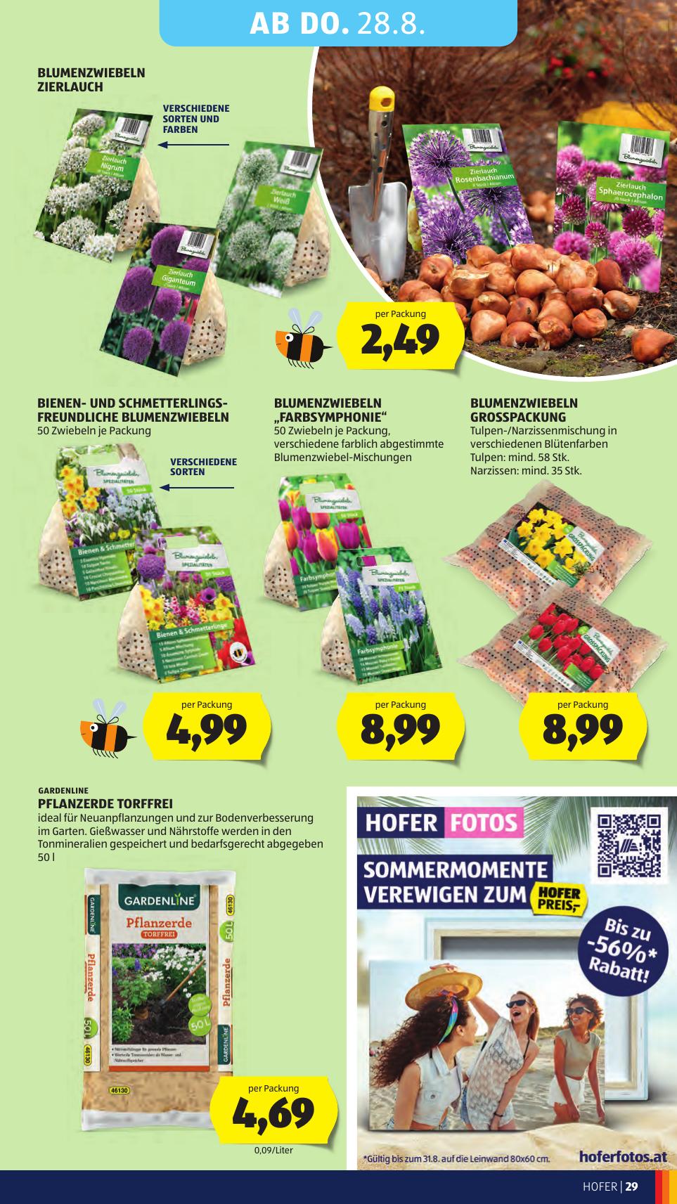 Hofer flyer page