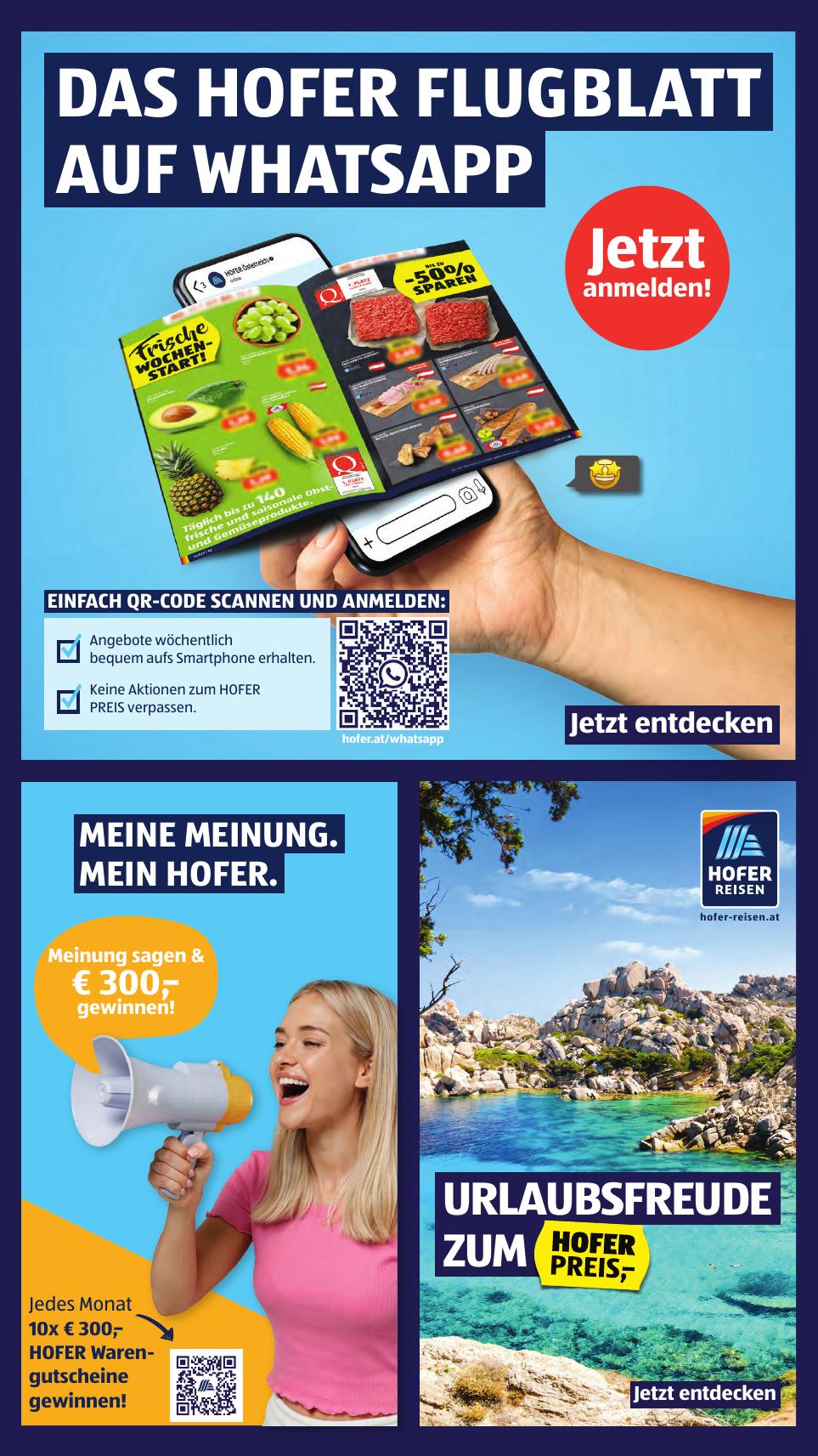Hofer flyer page