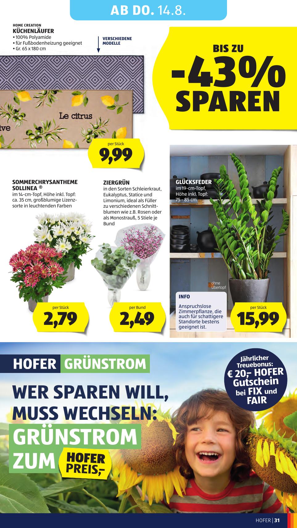 Hofer flyer page