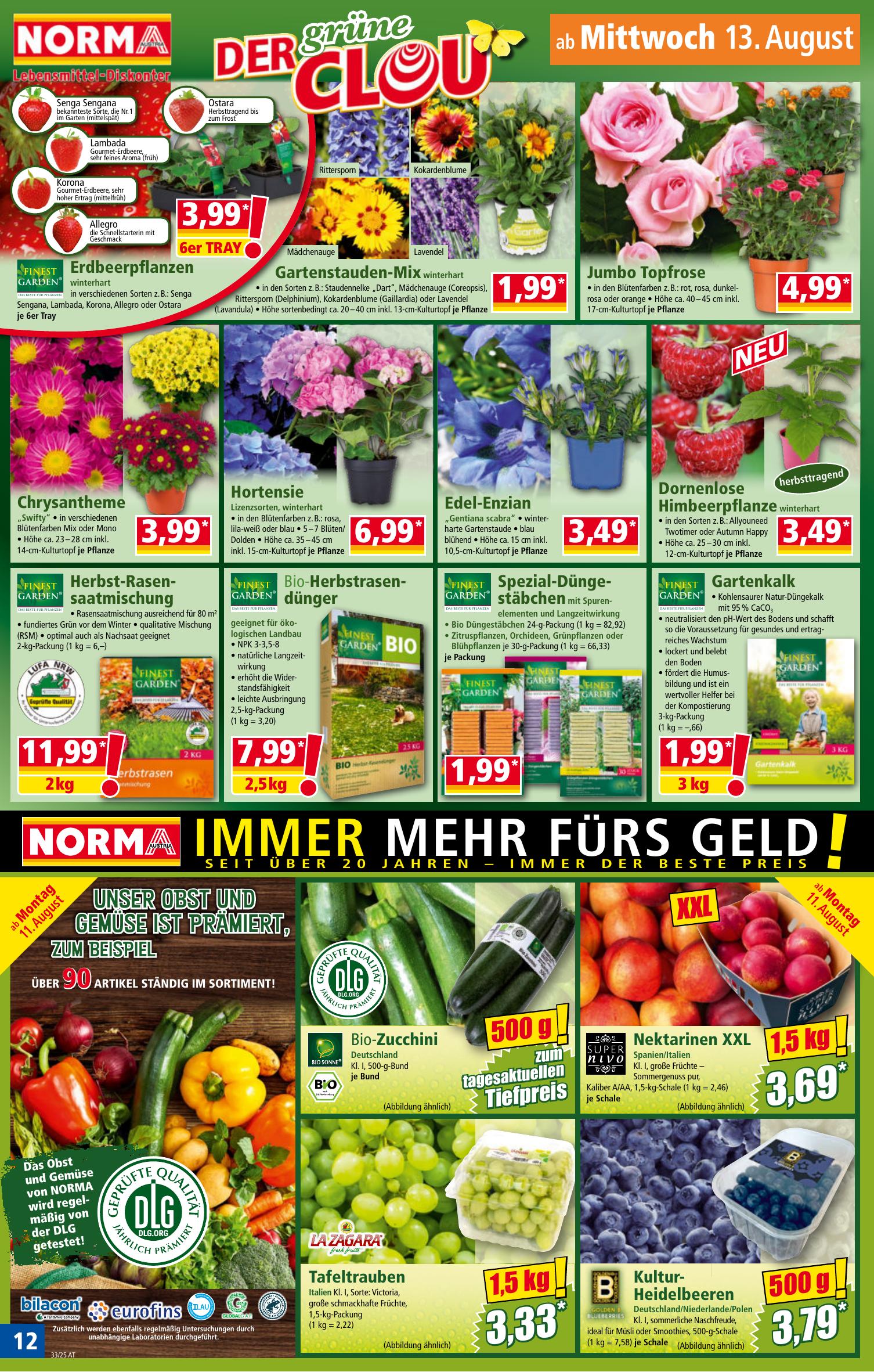 Norma flyer page