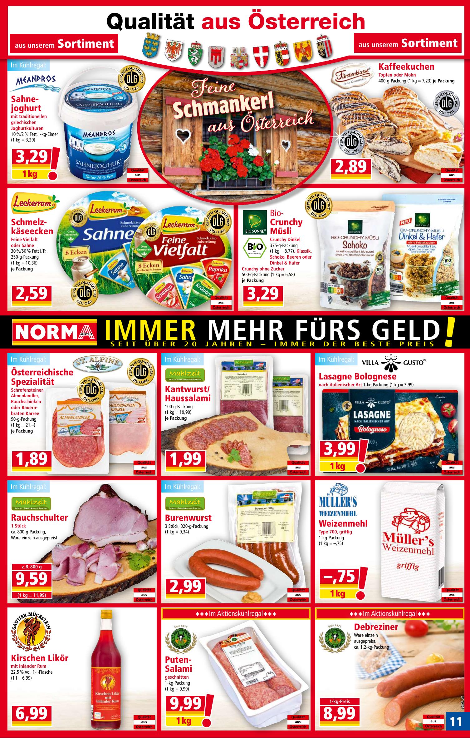 Norma flyer page