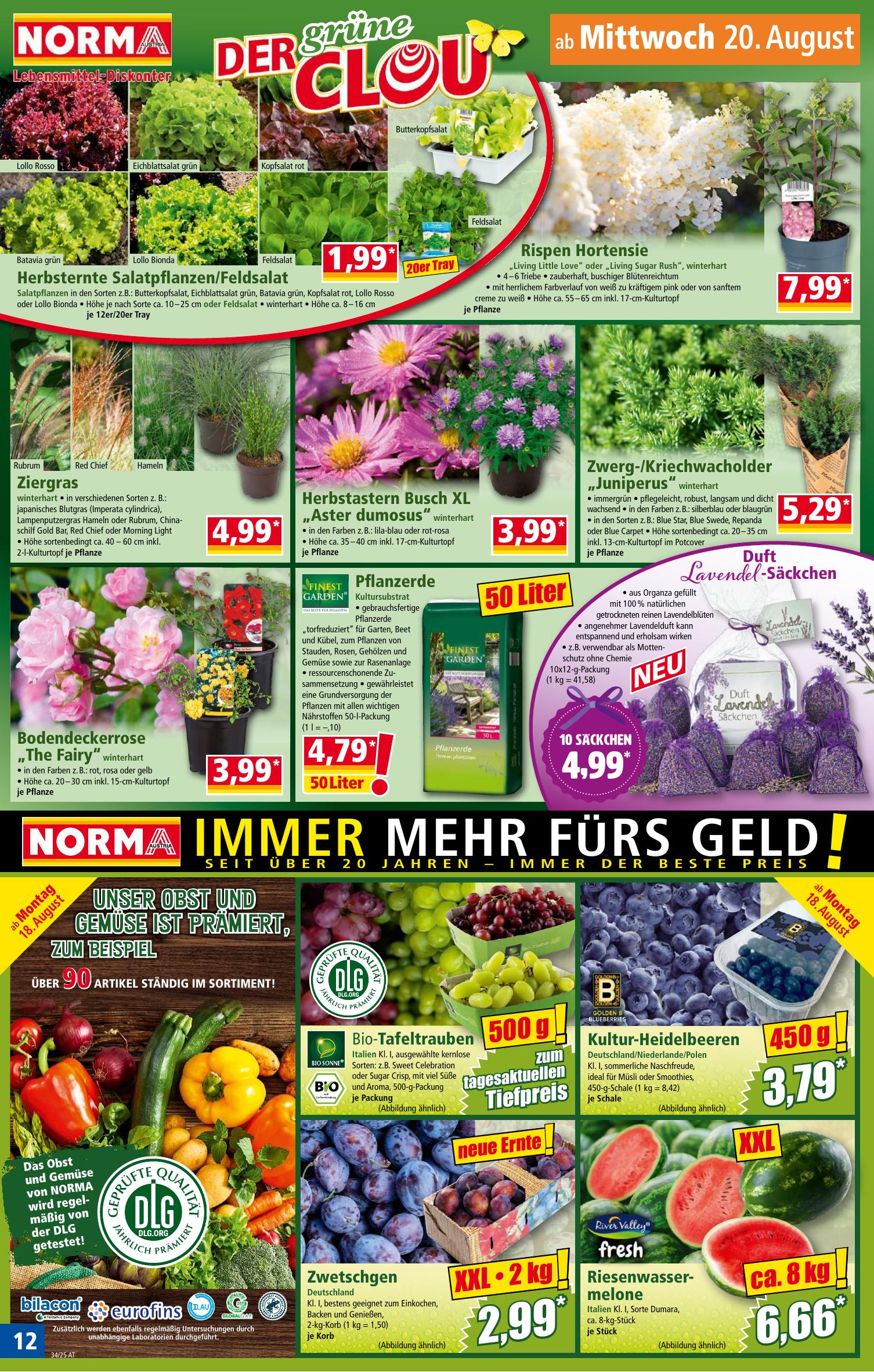 Norma flyer page