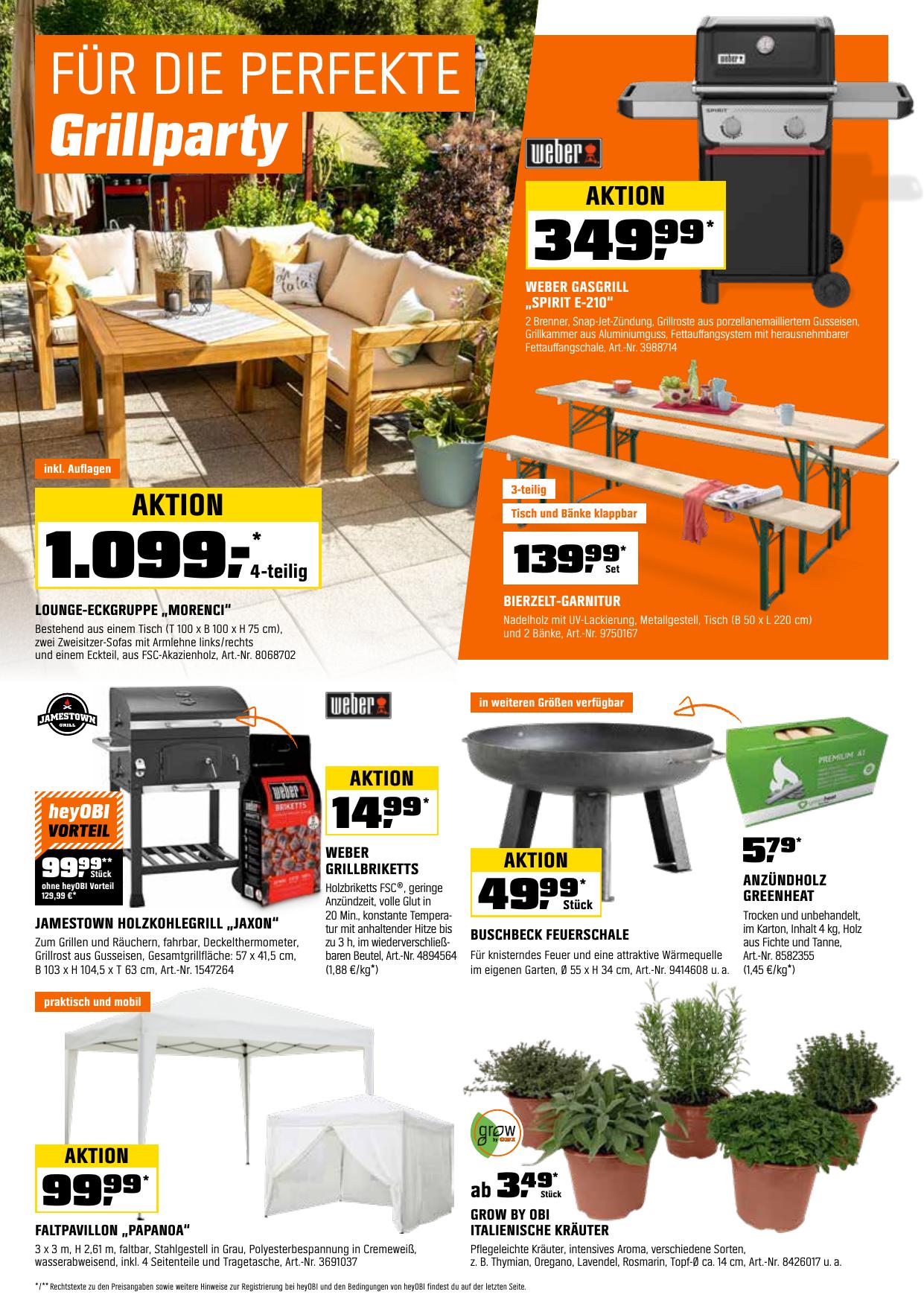 Obi flyer page