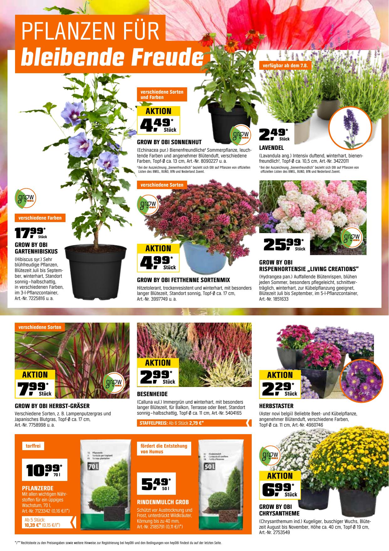 Obi flyer page