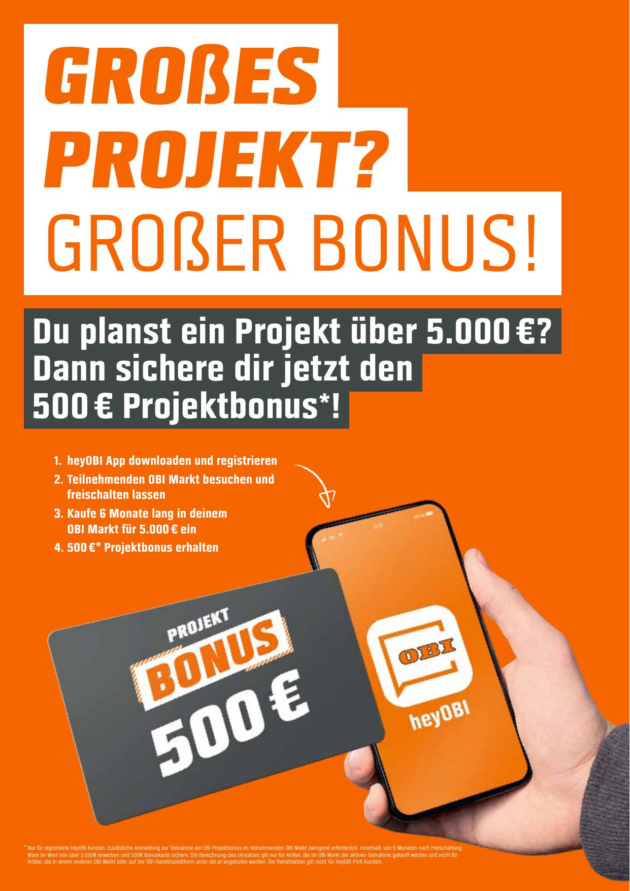Obi flyer page