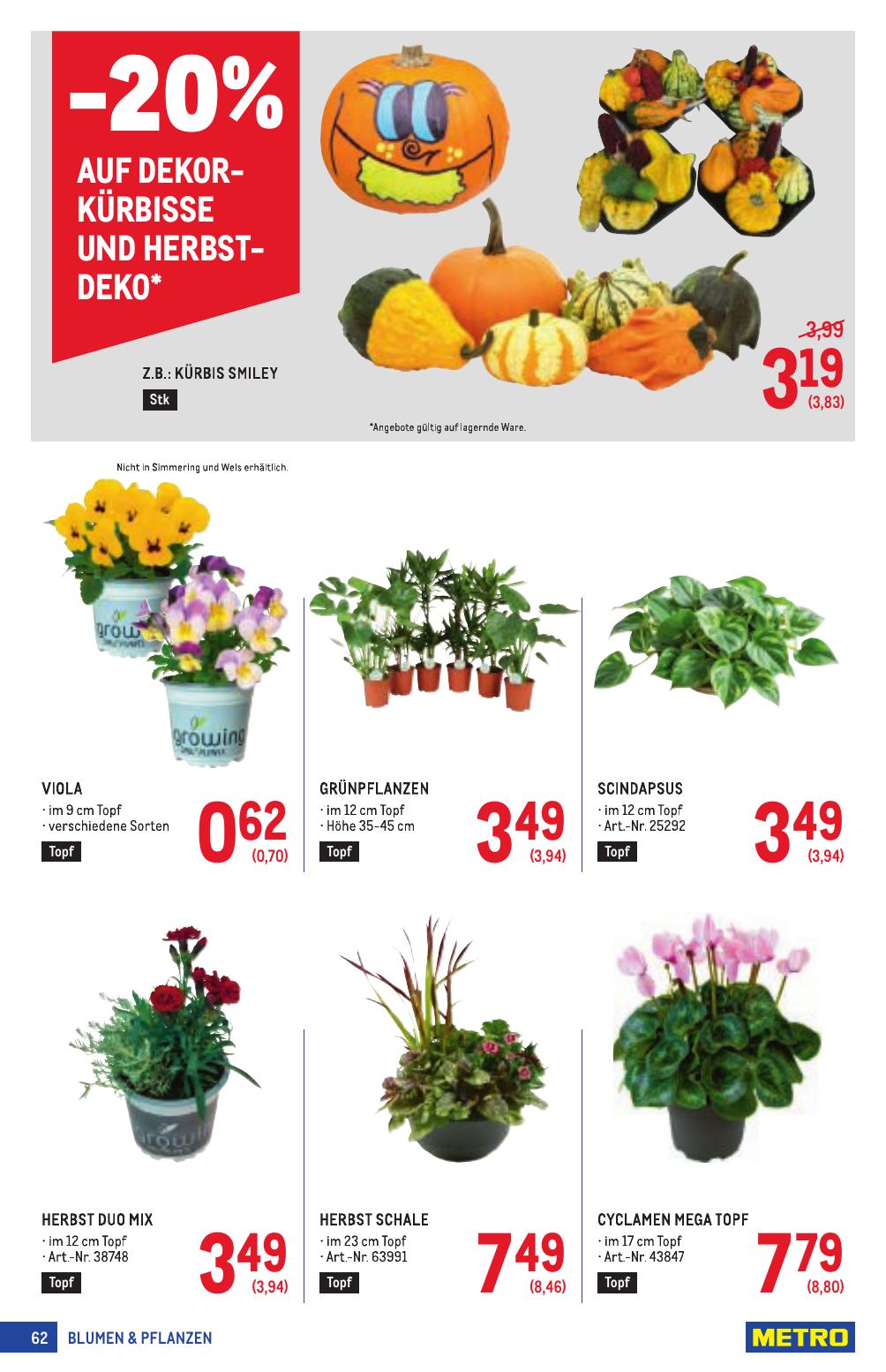 Metro Profi flyer page