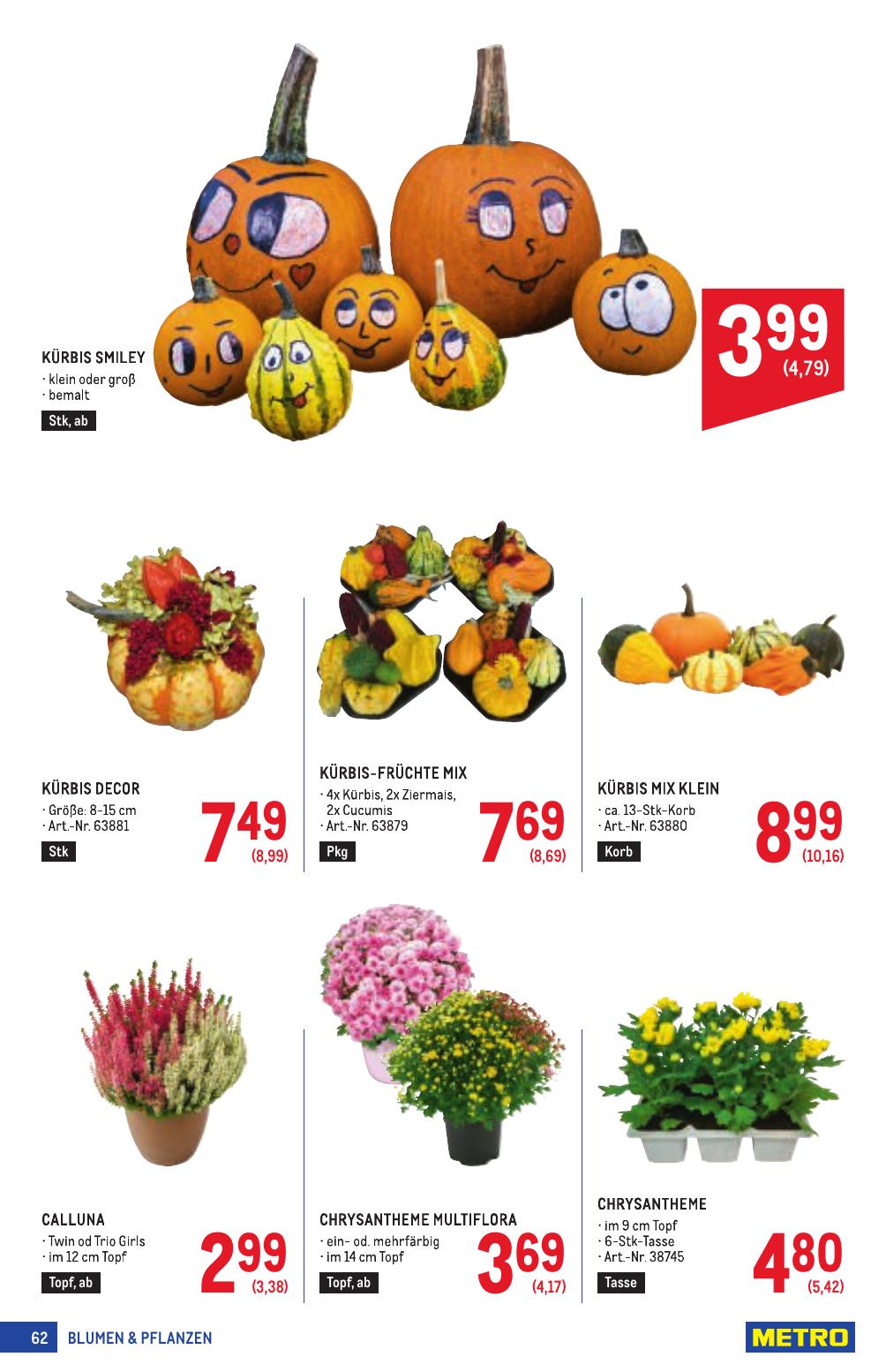 Metro Profi flyer page