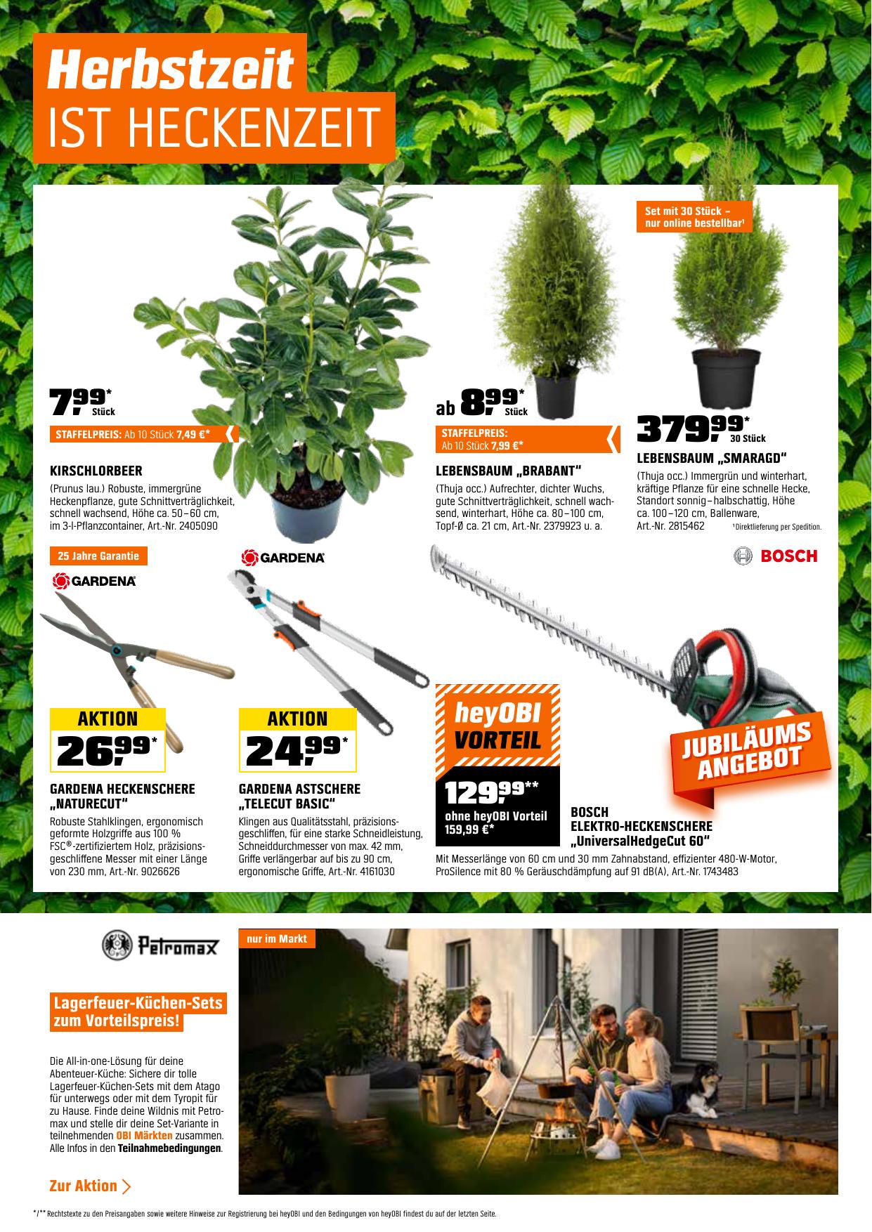 Obi flyer page