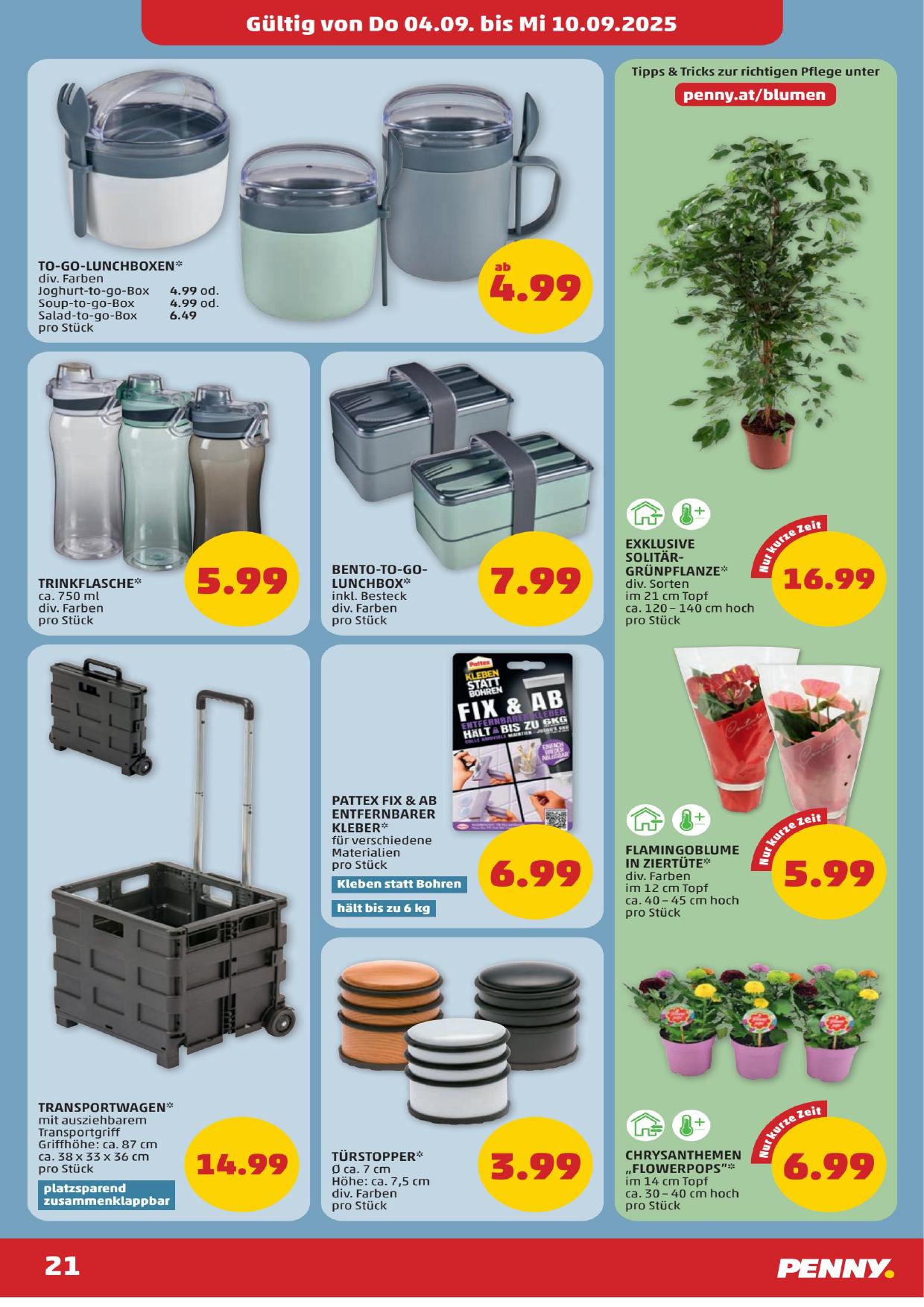 Penny flyer page