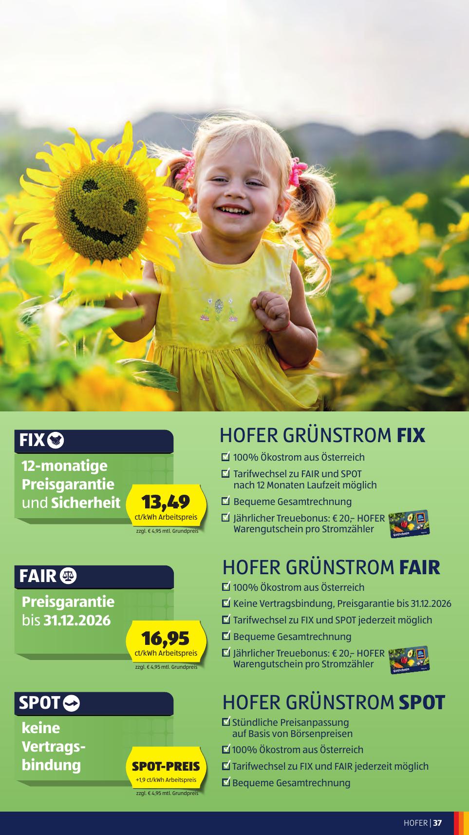 Hofer flyer page