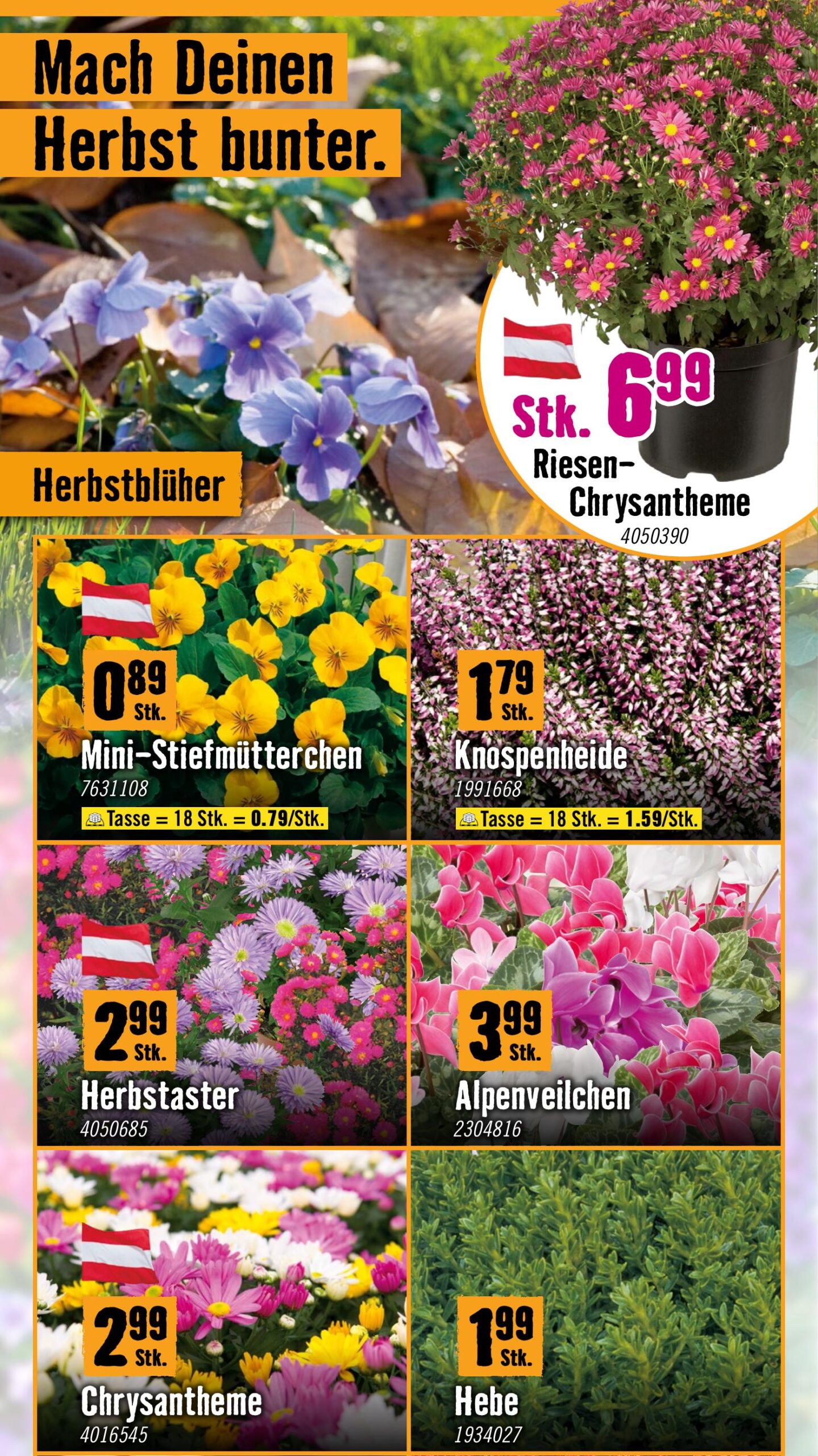 Hornbach flyer page