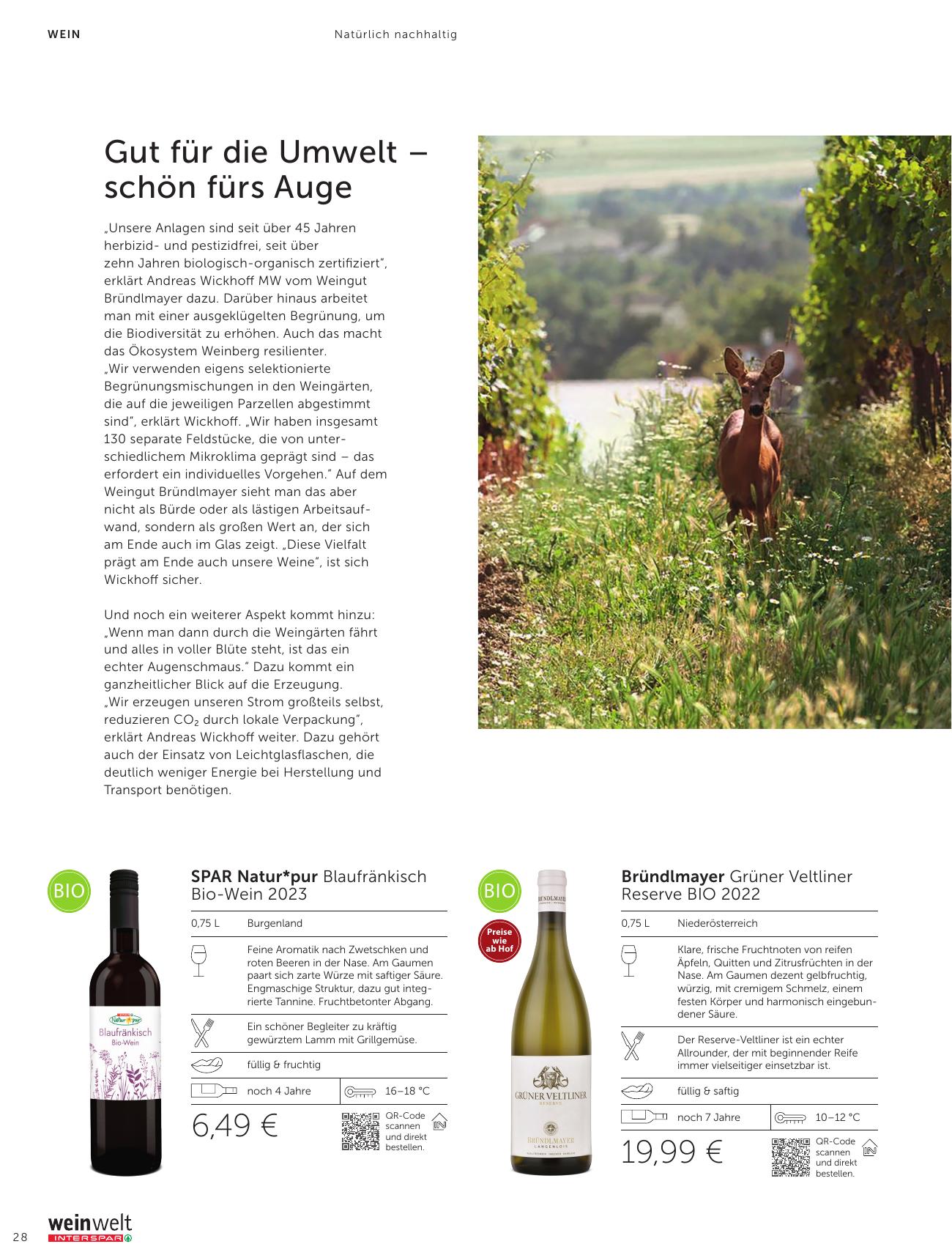 Interspar Katalog flyer page