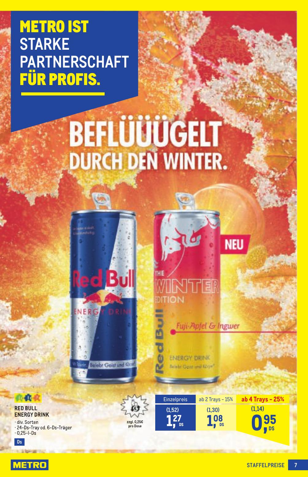 Metro Profi flyer page