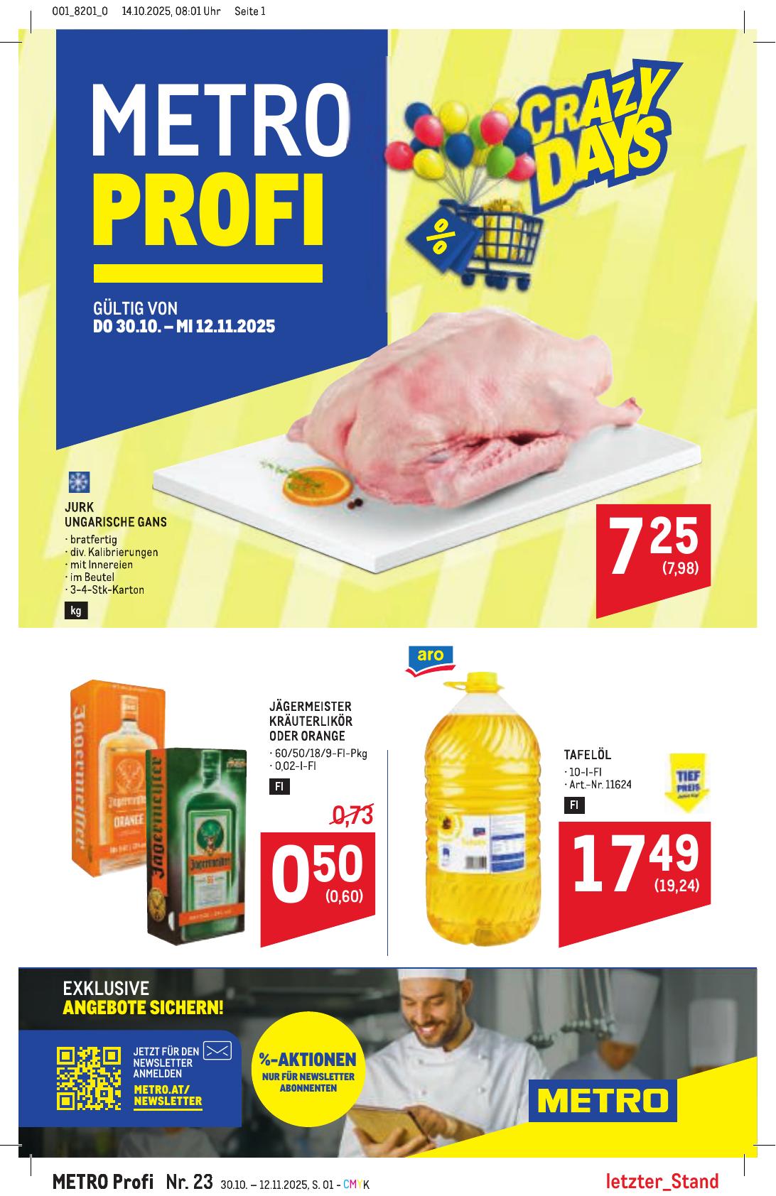 Metro Profi flyer page