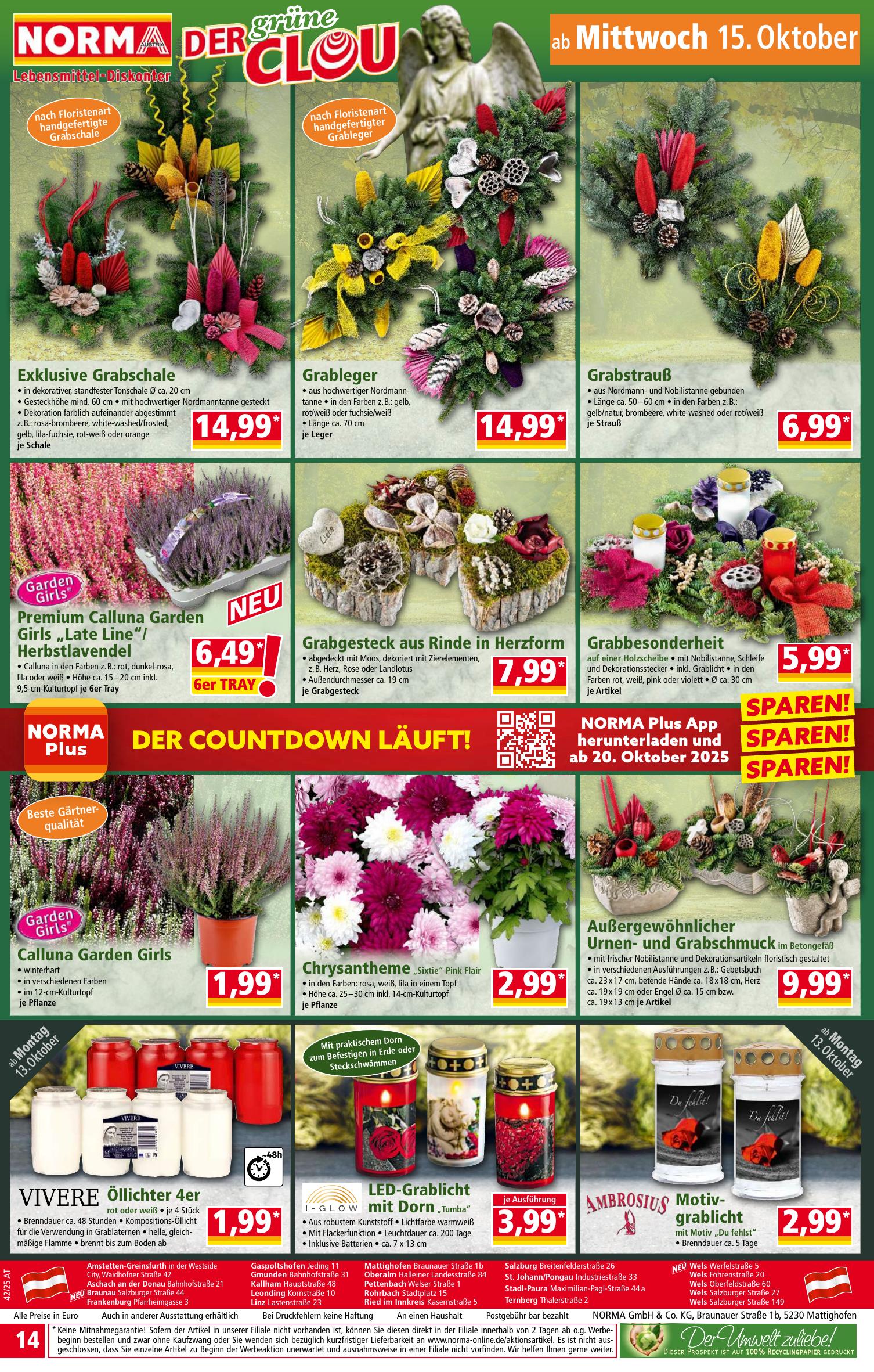 Norma flyer page