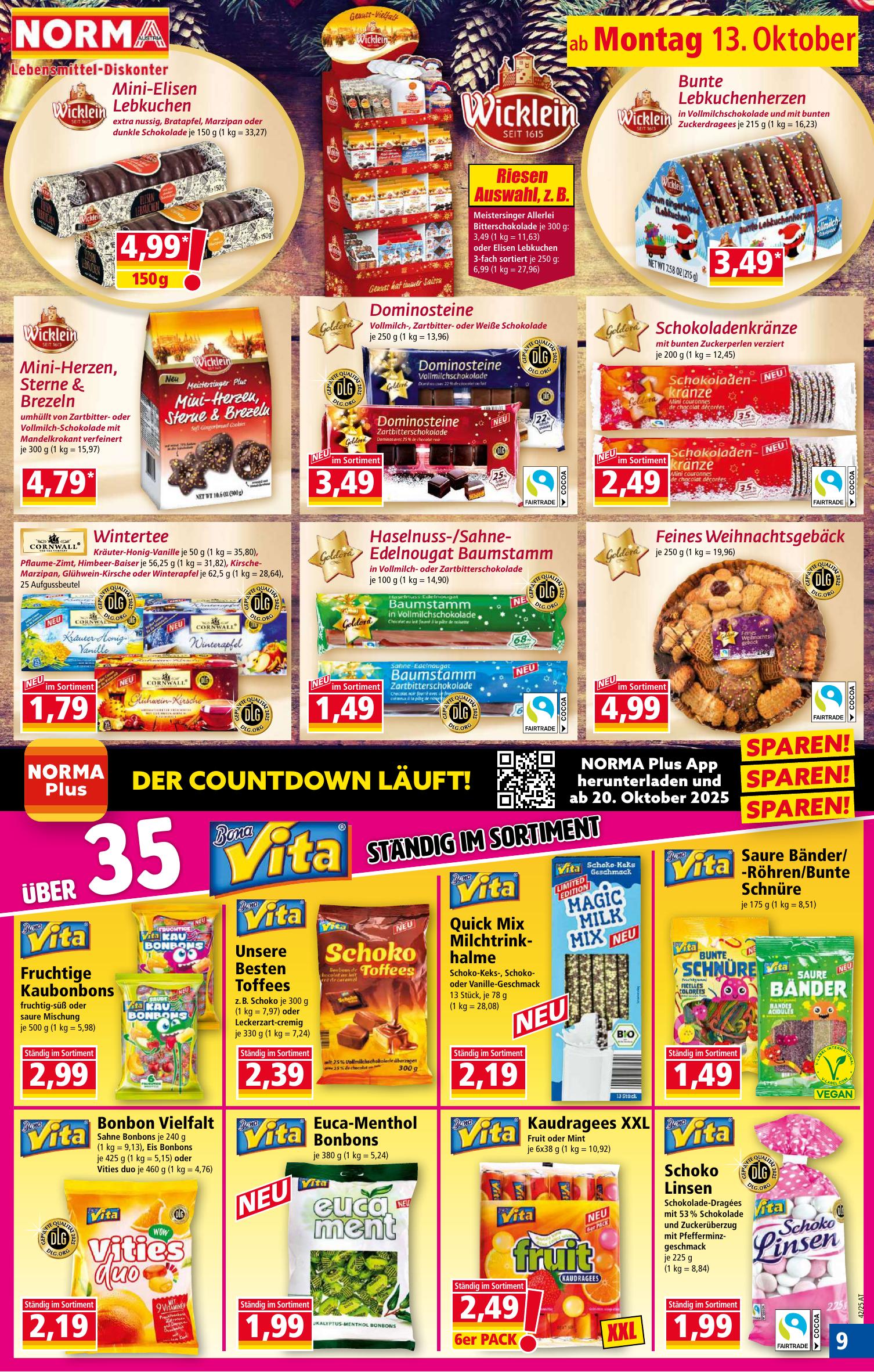 Norma flyer page