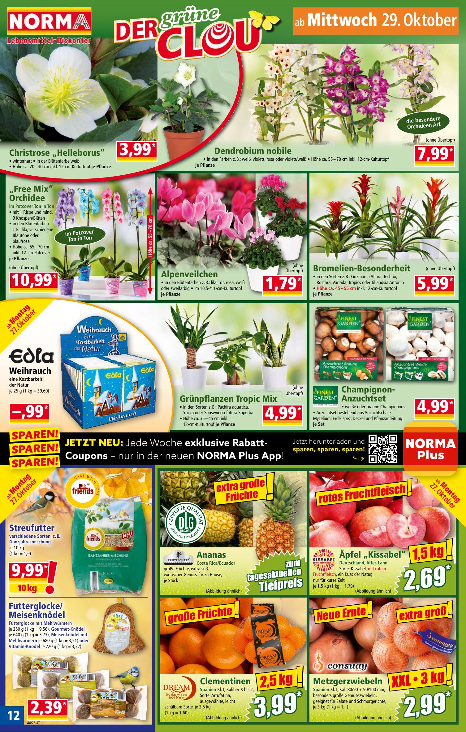 Norma flyer page