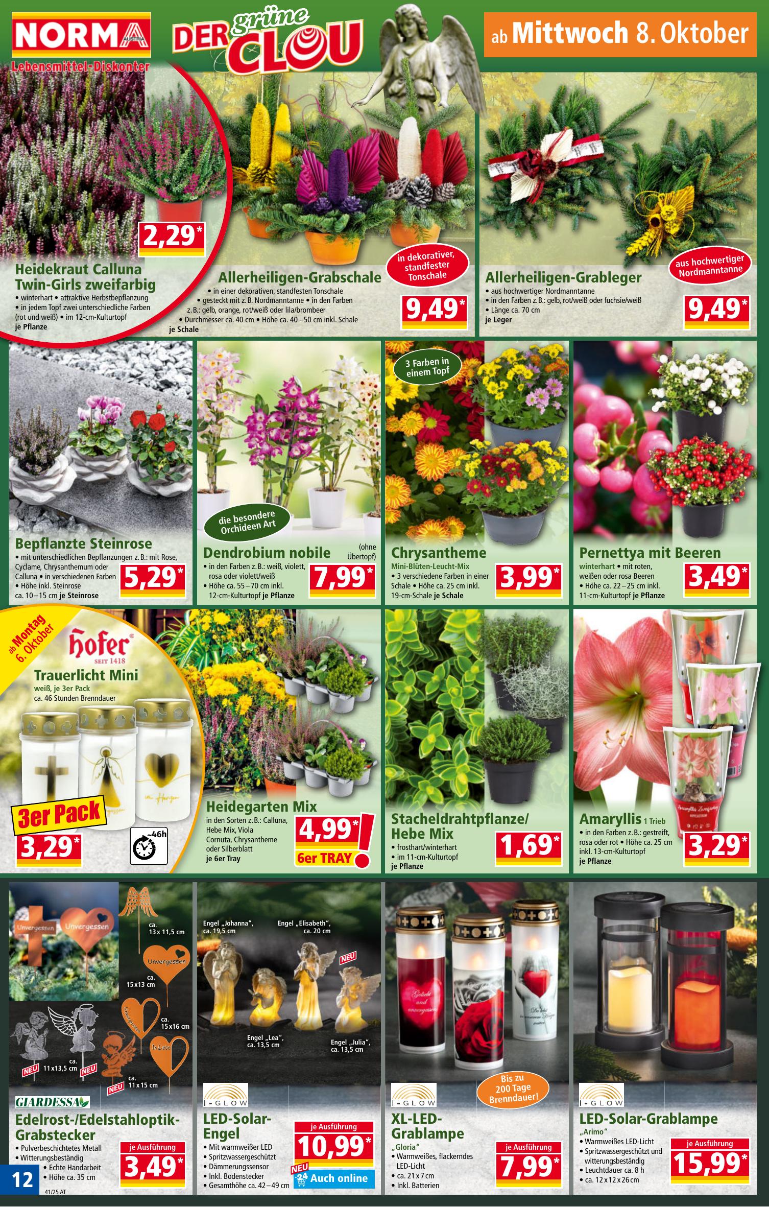 Norma flyer page