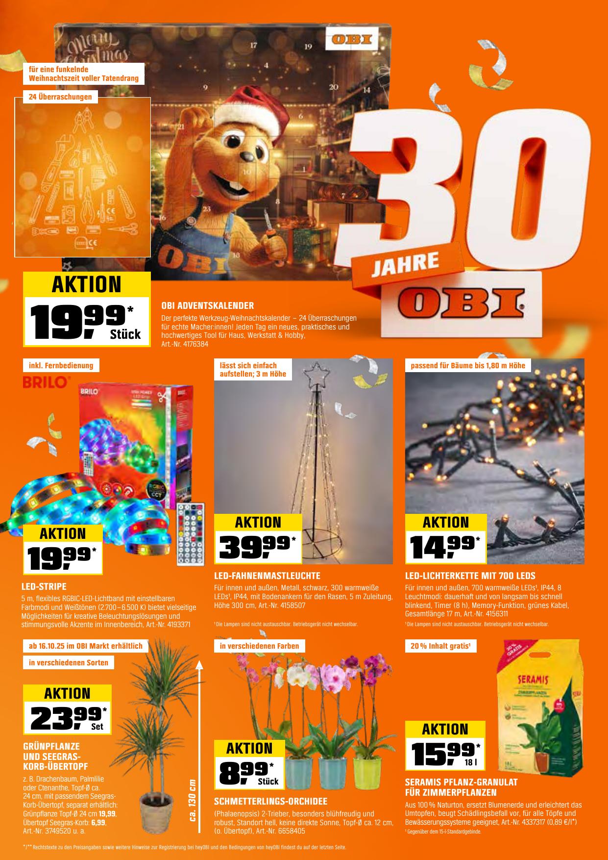 Obi flyer page