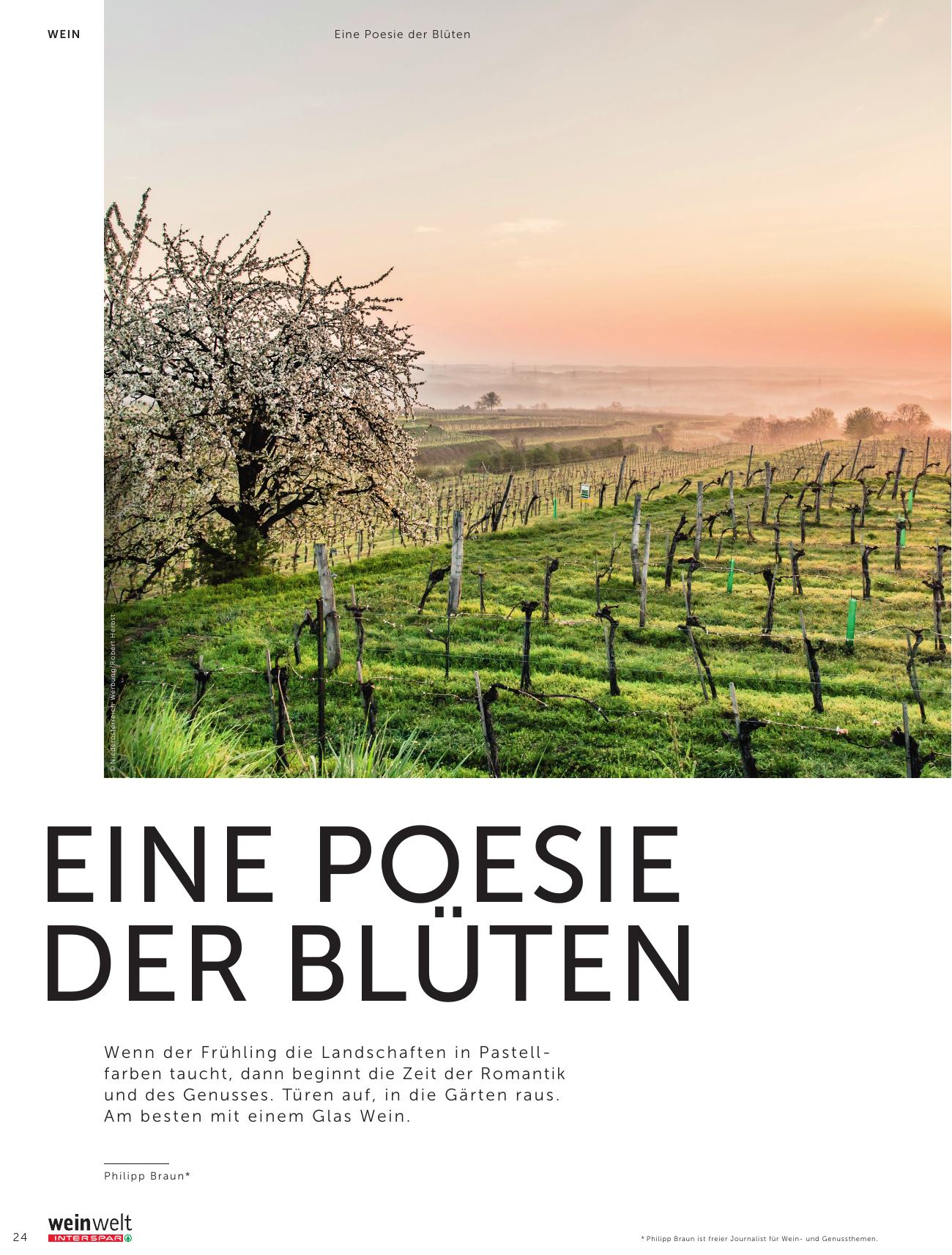 Interspar Katalog flyer page