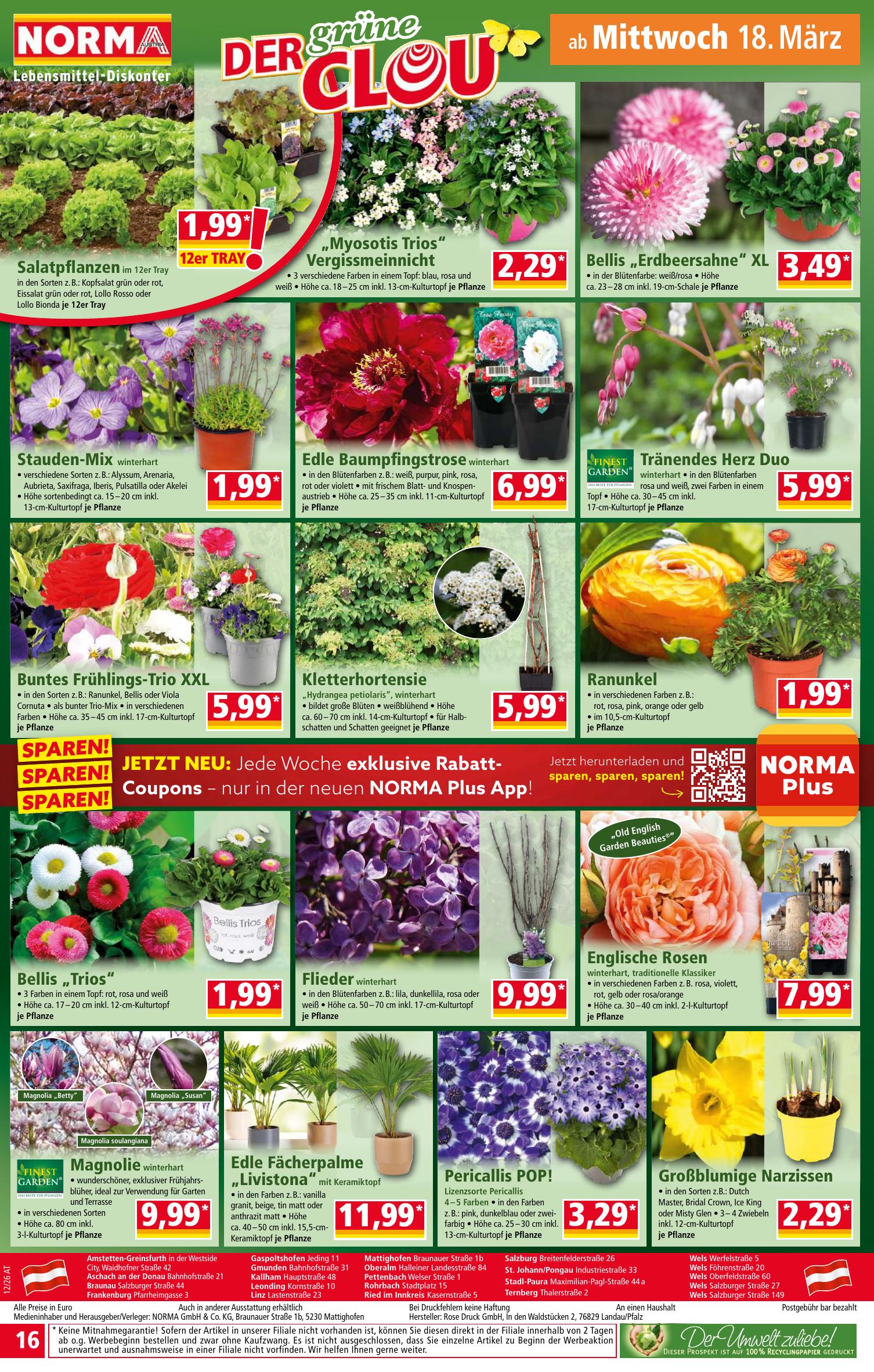 Norma flyer page
